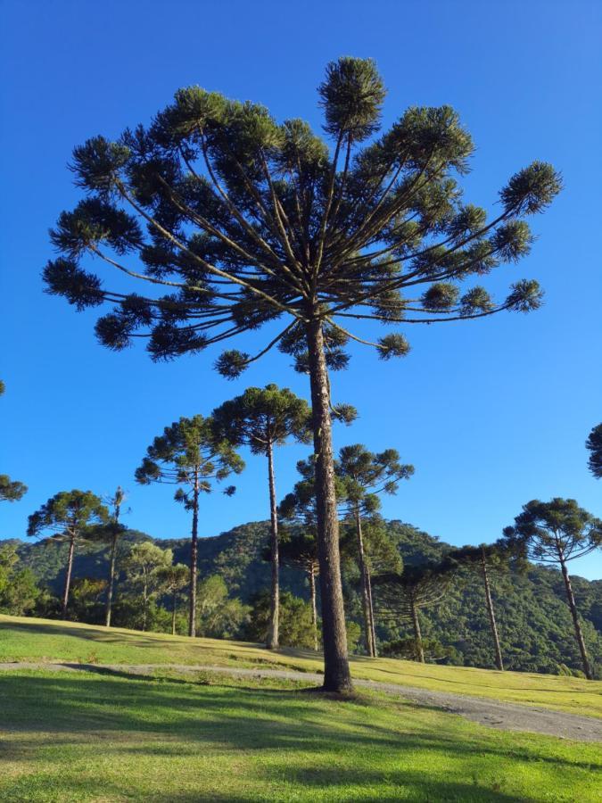 Casa De Campo Quinta Do Vale - Familia Урубиси Экстерьер фото